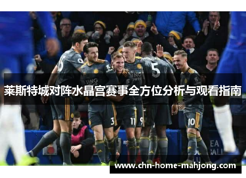莱斯特城对阵水晶宫赛事全方位分析与观看指南